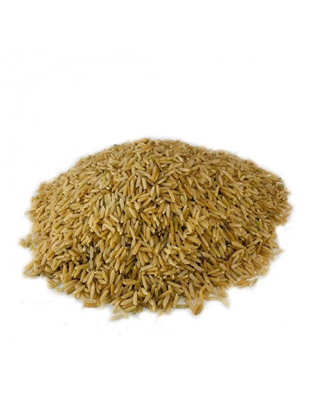 Berenjeto Persian brow rice Ta-477