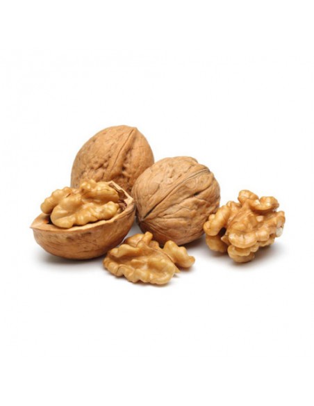 premium walnut in shell Ta-501