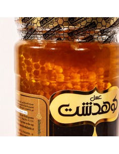 Kohdasht natural honey with honey comb Ta-552 2