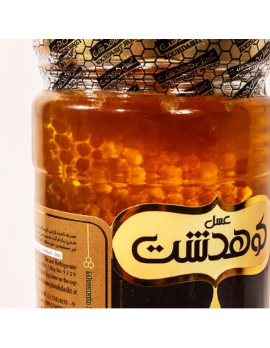 Kohdasht high quality honey Ta-552
