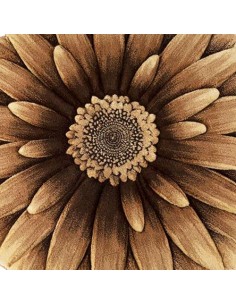 Brown Doormat Rc-149 2