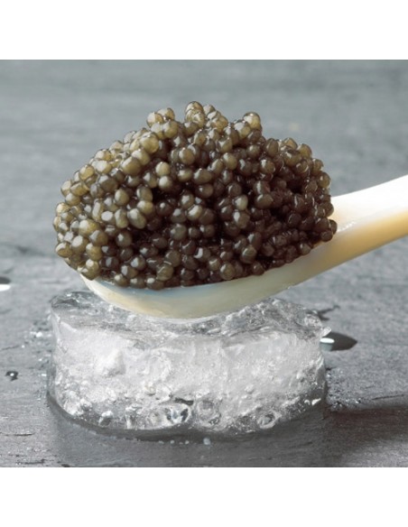 Royal Baerri expensive caviar Ta-585