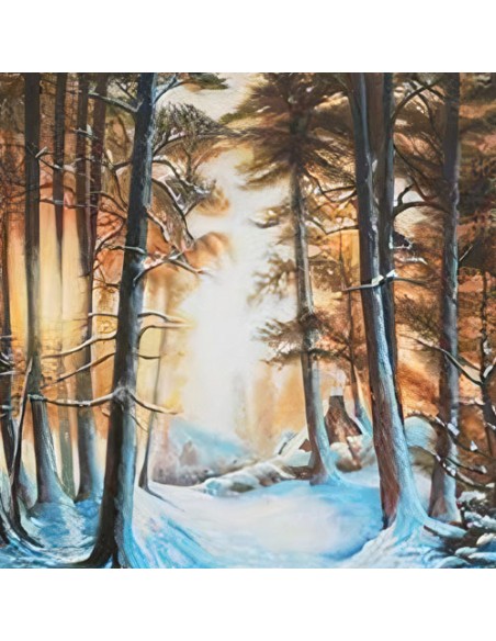 Curio decorative oil painting canvas "Winter Sunset AG-58" Zoom In-1