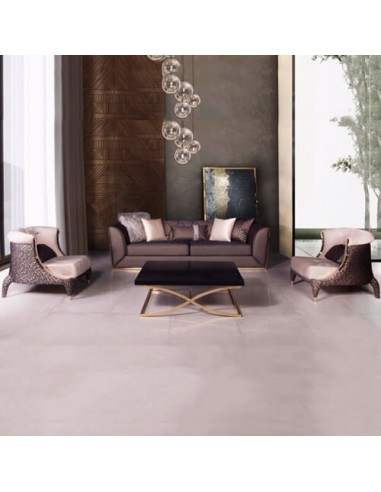 luxury golden leg brown sofa set