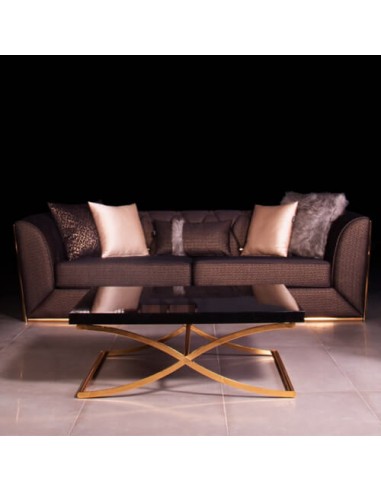 luxury golden leg brown sofa