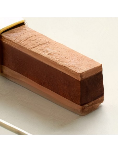 Unique Hand Shaped Wood & Silver Women's Earrings AC-1044 zi2