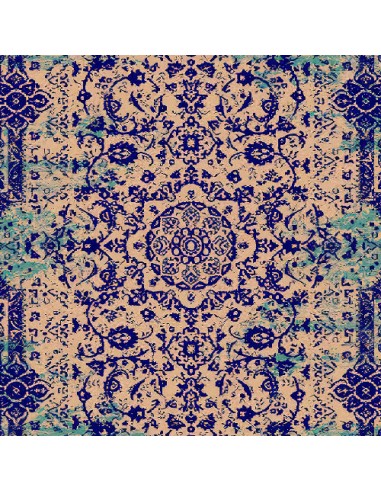 Machine Washable Faded Vintage Area Rug Rc-279 center view