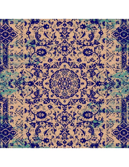 Machine Washable Faded Vintage Area Rug Rc-279 center view