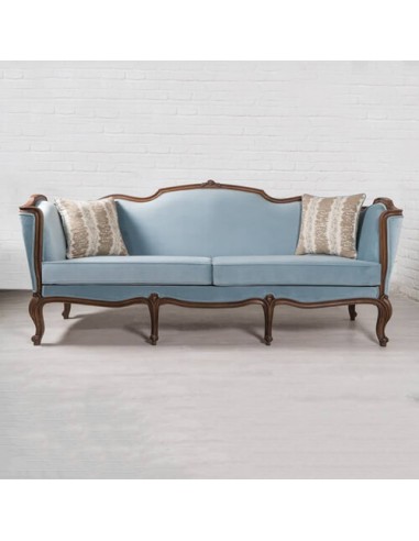 sky blue woodcarving cabriole sofa