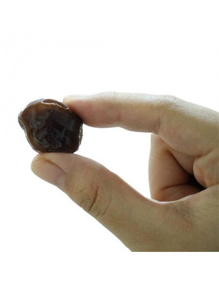 date fruit price Ta-1176