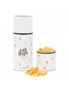 dried Mango Ta-172