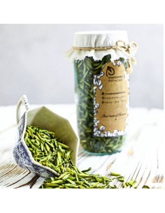 buy pistachio Ta-1299 2
