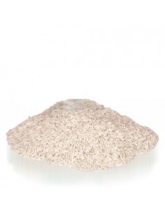 Persian Hashemi rice Ta-199 2