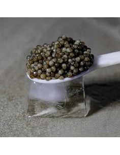 buy the best type of caviar Ta-1474 2