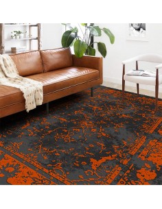 Persian Grey 6' X 9' Modern Carpet Rc-319 full view 2