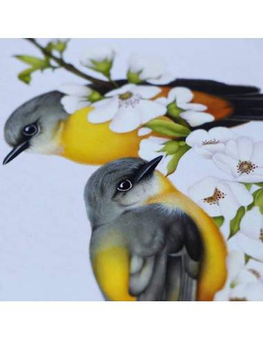 Persian Miniature Bird Painting -details