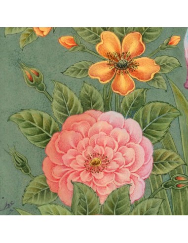 Persian miniature painting of flowers