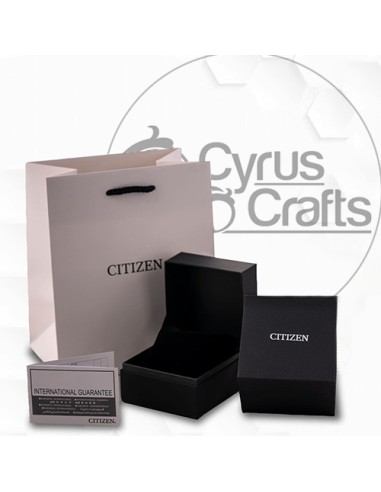 buy citizen analog watch for men