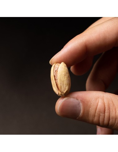 Akbari Salted Pistachios Ta-1802