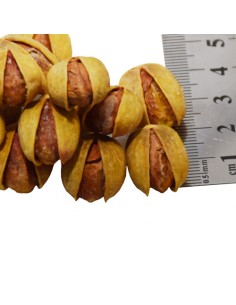 Goharbod Roasted Pistachios 2