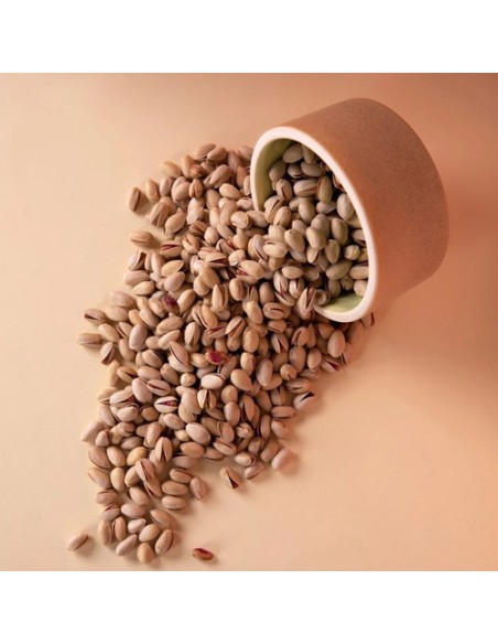 Buy Dry Pistachio Fruit Ta-1878