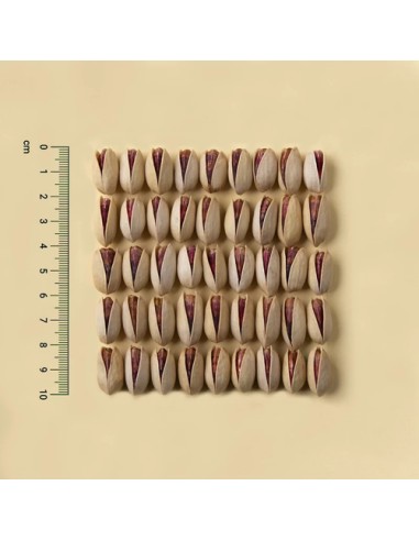 Dry Pistachio Fruit