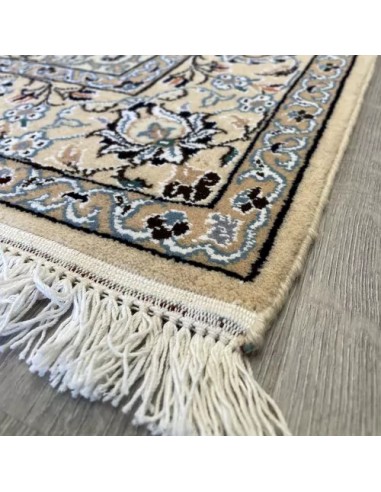 Nain 4x7 Handmade Blue and White Rug RC-1916 - Corner View