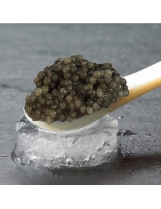 Persian Beluga caviar Ta-341 2