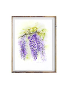 Wisteria Watercolor Painting