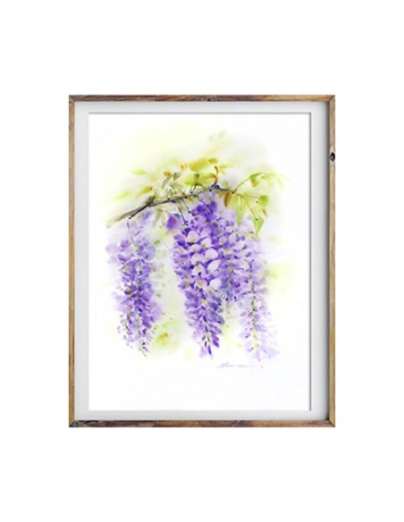 Wisteria Watercolor Painting Wisteria Watercolor Painting