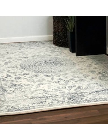 iranian-beige-area rug