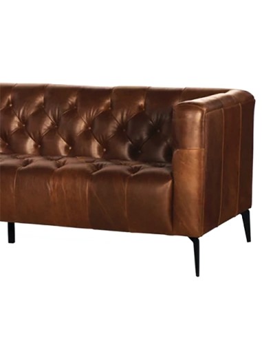 modern aniline leather sofa