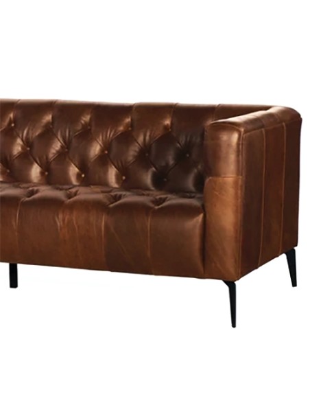 modern aniline leather sofa