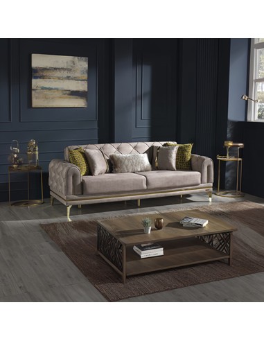 Modern Sleeper Sofa Set ID-2201