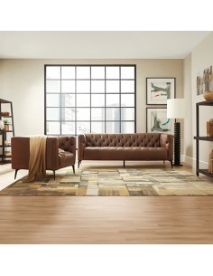 Aniline leather sofa 2