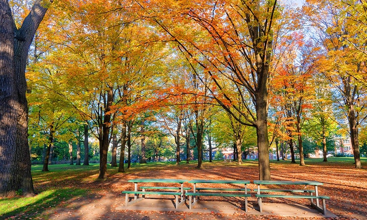 18 Places to Visit in Toronto – 2022 high park toronto