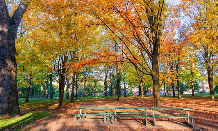 high park toronto