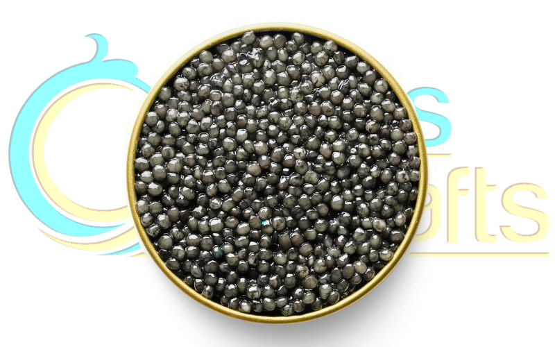Beluga caviar| What is so special about beluga caviar?