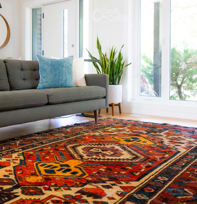 The 11 Best Area Rugs of 2023, According to Testing