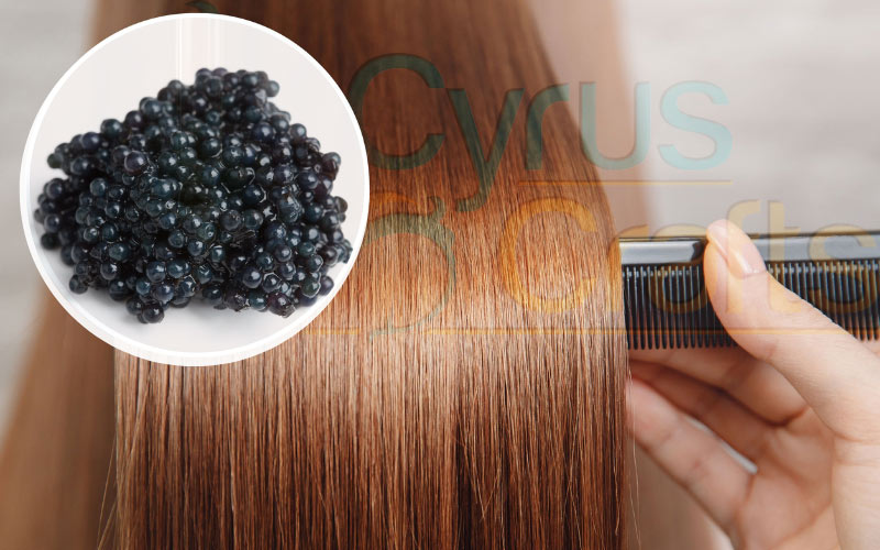 caviar cream for hair