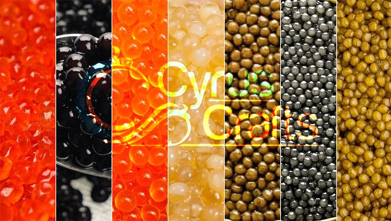 role of caviar color 