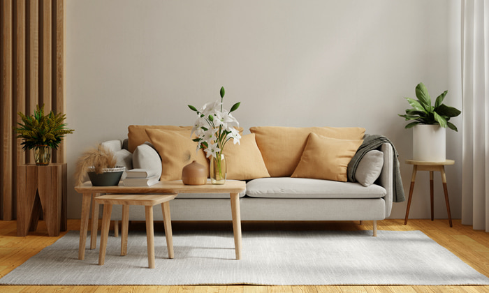 light colored sofa