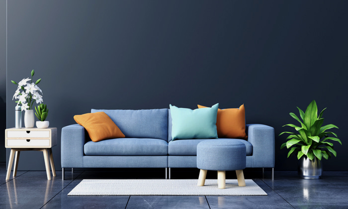 sofa colors