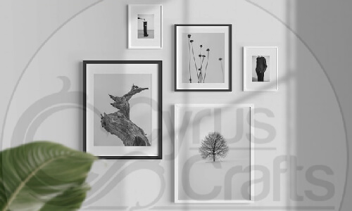 black and white gallery wall