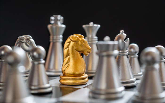 The history of the chess horse –