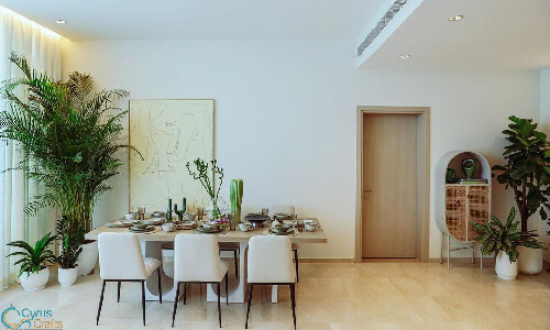 plants for a minimalist home