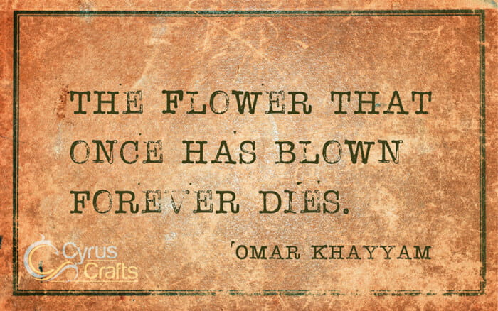 Rubaiyat of Omar Khayyam quotes