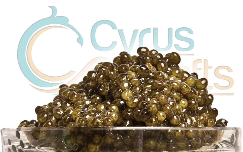 osetra caviar price