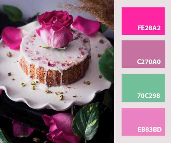 Persian rose color combination and colors that go with rose pink - fe28a2