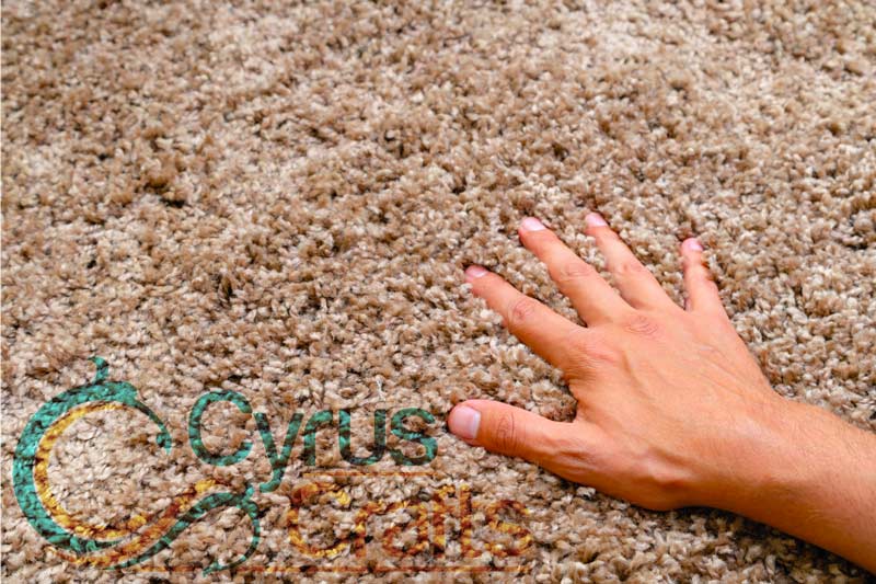 polypropylene rugs toxic